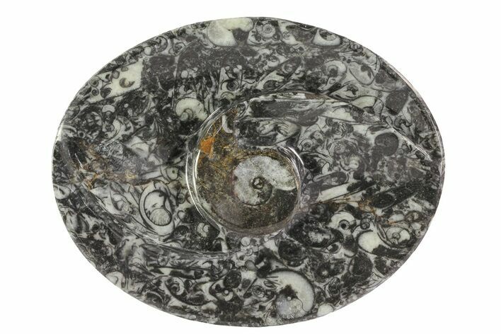 Oval Shaped Fossil Goniatite Dish #73751